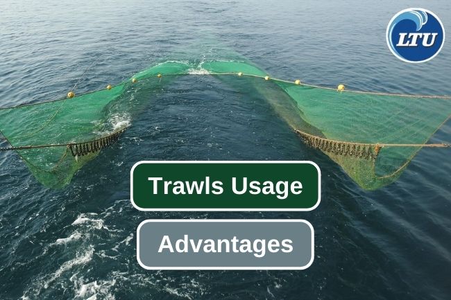 5 Advantages and Versatility of Trawl as a Fishing Gear